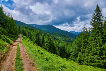 Obraz premium Idyllic landscape in the Alps with fresh green meadows and blooming flowers