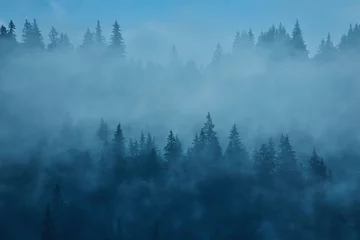 Afwasbaar Fotobehang Mistig bos Misty landscape with fir forest