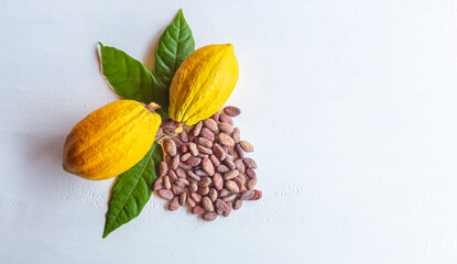 Ripe fresh cocoa pods and dry brown cocoa beans with green cacao leaf on white wooden background