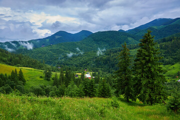 Obraz premium Idyllic landscape in the Alps with fresh green meadows and blooming flowers