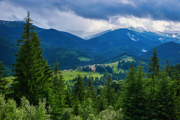 Summer landscape in mountains and the blue sky