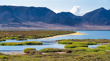 Las Salinas Ornithological Viewpoint, Salinas de Cabo de Gata, Wetland Ramsar Site, Cabo de Gata-Níjar Natural Park, UNESCO Biosphere Reserve, Almería, Andalucía, Spain, Europe
