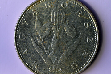 metal coin, money, cash
