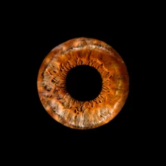 Foto auf Acrylglas Macro shot of a human eye, macro iris on a black background, suitable as a creative background, Iris heterochromia © Olga