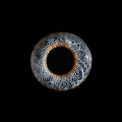 Macro shot of a human eye, macro iris on a black background, suitable as a creative background,...