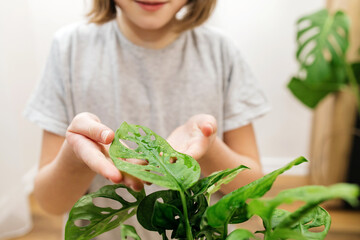 A teenage girl holds a leaf of room monstera in her hands. Indoor plants, transplanting and care. Hobby © Elena Medoks