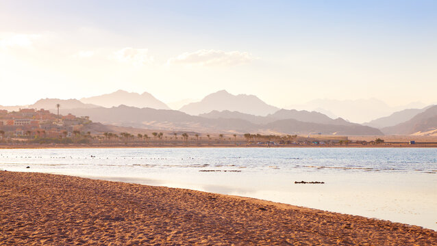 Nabq coast in the north of Sharm El Sheikh at sunset,  Aqaba Gulf, South Sinai, Egypt.