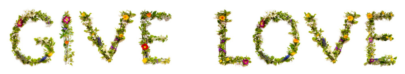 Blooming Flower Letters Building English Text Give Love