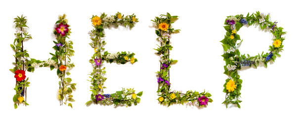 Blooming Flower Letters Building English Word Help