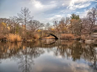 Photo sur Plexiglas Pont de Gapstow Gapstow Bridge in Central Park, winter, early spring