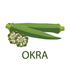 okra vector illustration vector on white background