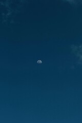 moon in a blue sky