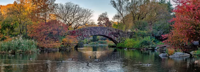 Glasschilderij Gapstow Brug Gapstow Bridge in Central Park, autumn