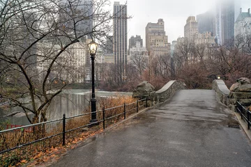 Afwasbaar behang Gapstow Brug Gapstow Bridge in Central Park rainy day