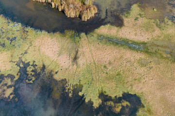 Marshland from above