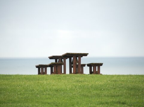 Wooden picnic bench in a green meadow