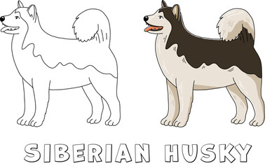 Husky dog, vector outline illustration in cartoon style isolateted on white background