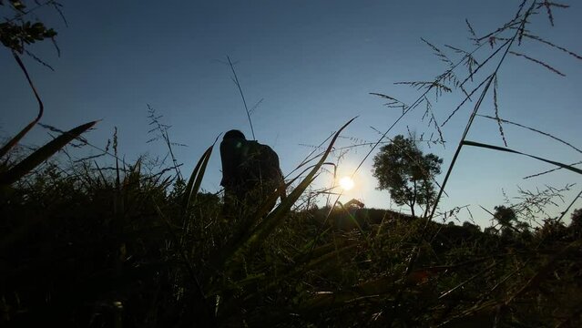 Low angle wide shot of silhouetted backpacker climbing mountain though grass