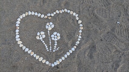 Heart and flowers made of shells on the sand