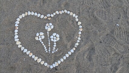 Heart and flowers made of shells on the sand