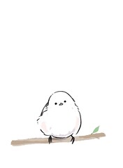 冬のふわふわシマエナガ