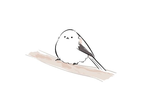 ふわふわシマエナガ
