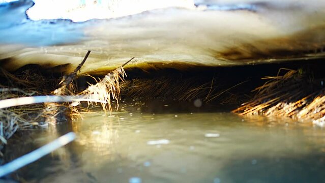 Melting ice on a cold river in early spring season. Beautiful nature scene with snow, ice and rapid river water close-up. Spring coming, global warming, season changing concept. 
