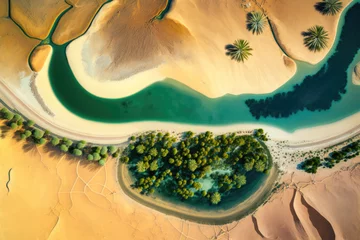 Tuinposter Illustration of an oasis in the desert. Bird's eye view landscape. Top view from drone. Generative AI © TungYueh