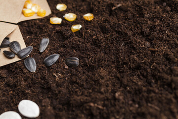 Brown paper bags with seeds on a soil. Sunflower, corn, and pumpkin seeds