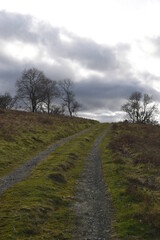 Fototapeta na wymiar a path that leads you through Castlemorton common and up the Malvern hills