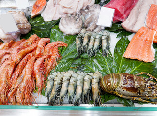  fresh fish seafood in supermarket