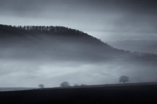 tree and hills in mist at night, dark landscape