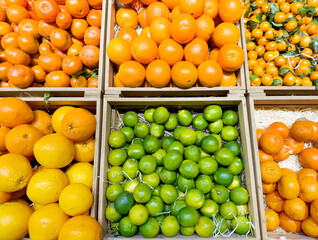 buying fruits at the market(oranges, tangerines, lemons, lime)