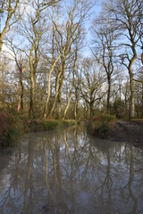 a muddy flooded track through the Malvern hills