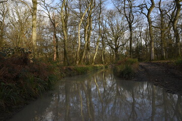Fototapeta na wymiar a muddy flooded track through the Malvern hills