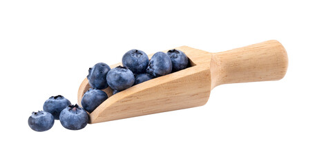 Blueberries in wood scoop isolated on transparent png