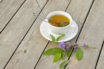 Fresh green sage bunch closeup. Healthy sage herbal tea cup, green leaf of salvia officinalis and tea kettle on wooden table.