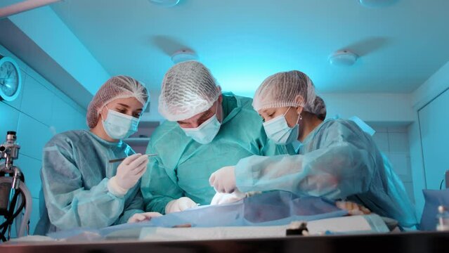 The doctor in the middle of performing the operation with nurses assisting him. The nurses help him during the prosedure . High quality 4k footage