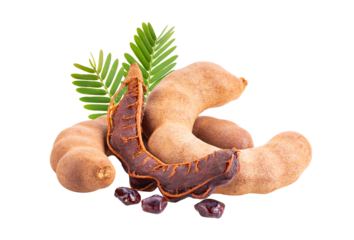 fresh tamarind fruits and leaves isolated on transparent png