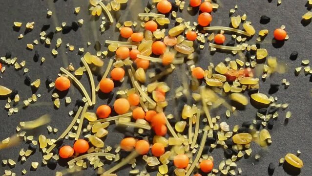 Various dried food on a black background. Top view of legumes. High protein foods.