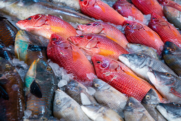 Fresh seafood and fishes at the fish market in Hurghada, Egypt - obrazy, fototapety, plakaty