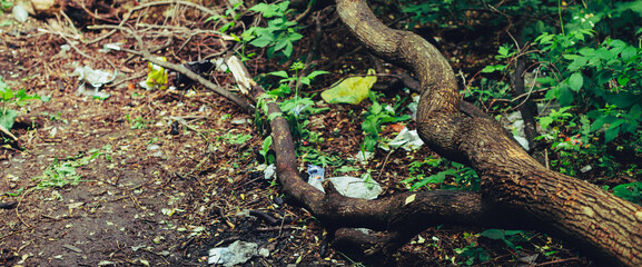 Garbage pile in forest among plants. Toxic plastic into nature everywhere. Rubbish heap in park among vegetation. Contaminated soil. Environmental pollution. Ecological issue. Throw trash anywhere.