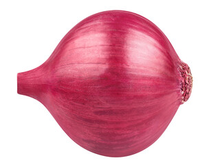 Delicious onion bulb cut out