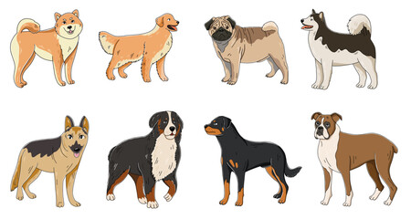 Hand drawn colorful dogs collection. Set of vector illustration with dog breeds isolated on white background