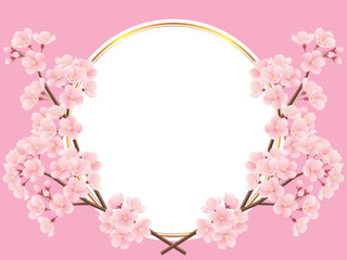 Fototapeta na wymiar 交差した桜の枝と金色ラインの丸フレームのイラスト（ピンク）