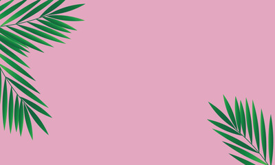 Fototapeta na wymiar Minimalistic tropical background with palm leaves on pink background