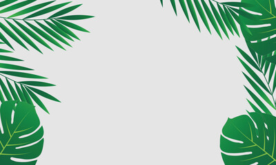 Minimalistic tropical background with palm leaves on white background