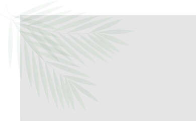Minimalistic tropical background with palm leaves on grey  background
