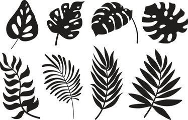 Set of leaves. Hand drawn decorative elements. Vector illustration