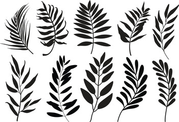 Set of leaves. Hand drawn decorative elements. Vector illustration